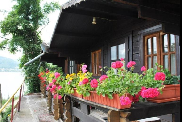 Villa Gratca Nr 164 Orşova Exterior foto