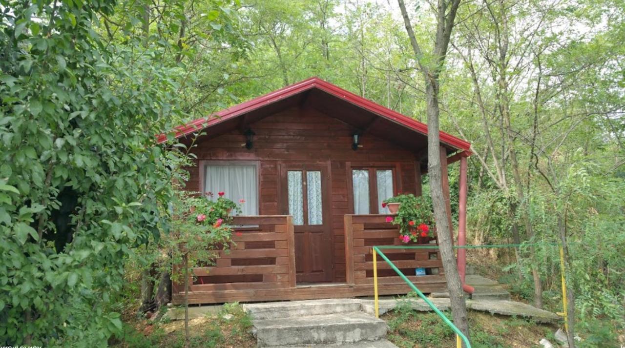 Villa Gratca Nr 164 Orşova Exterior foto