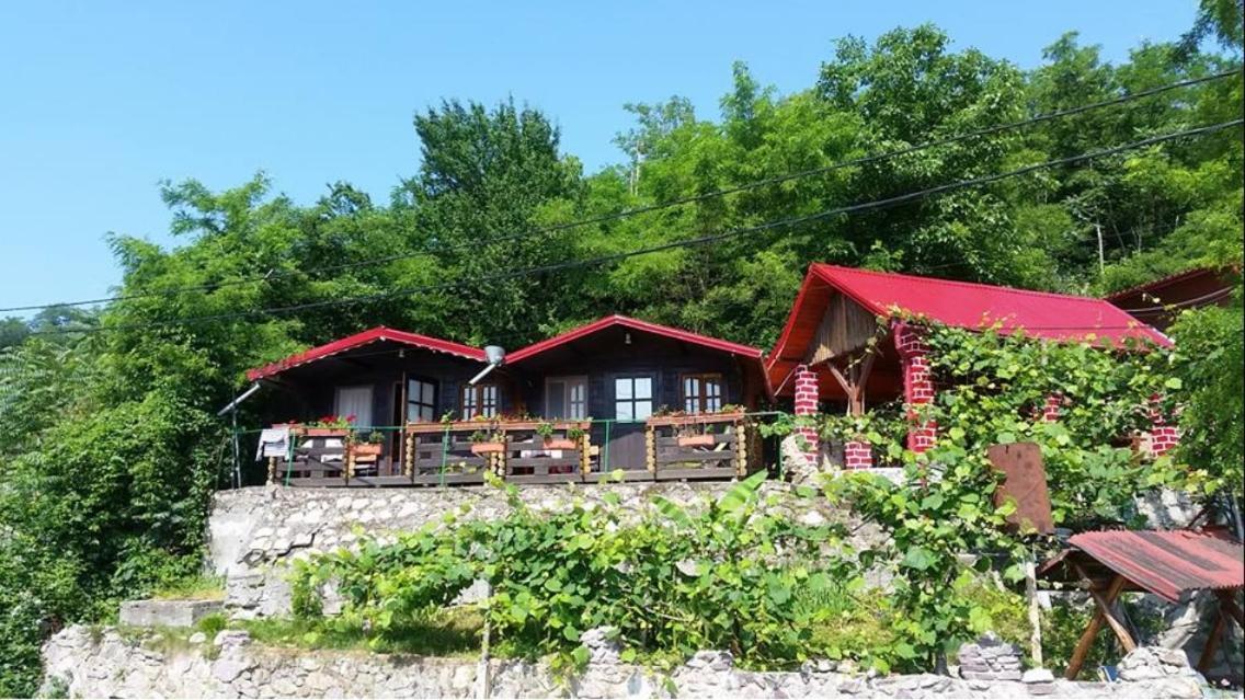 Villa Gratca Nr 164 Orşova Exterior foto