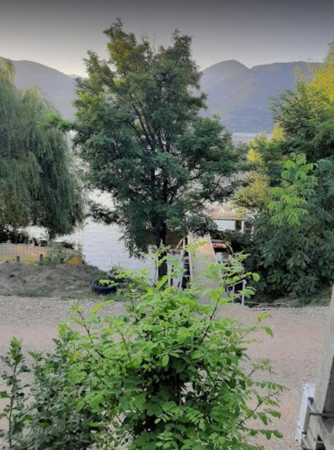 Villa Gratca Nr 164 Orşova Exterior foto
